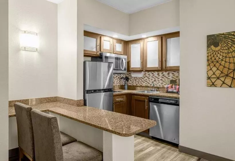 キングサイズベッドのスイートルーム, Staybridge Suites Chattanooga Hamilton Place, An Ihg