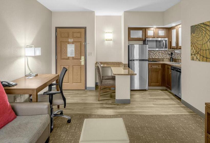 سوئیت با تخت بزرگ, Staybridge Suites Chattanooga Hamilton Place, An Ihg
