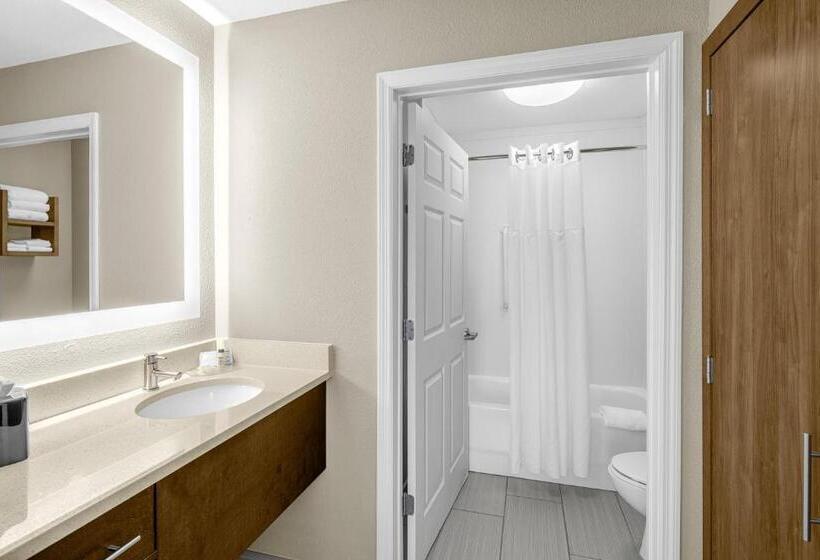 Suite met 2 Slaapkamers, Staybridge Suites Chattanooga Hamilton Place, An Ihg