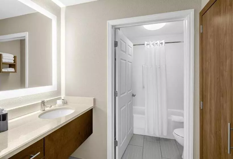 ２ベッドスイートルーム, Staybridge Suites Chattanooga Hamilton Place, An Ihg