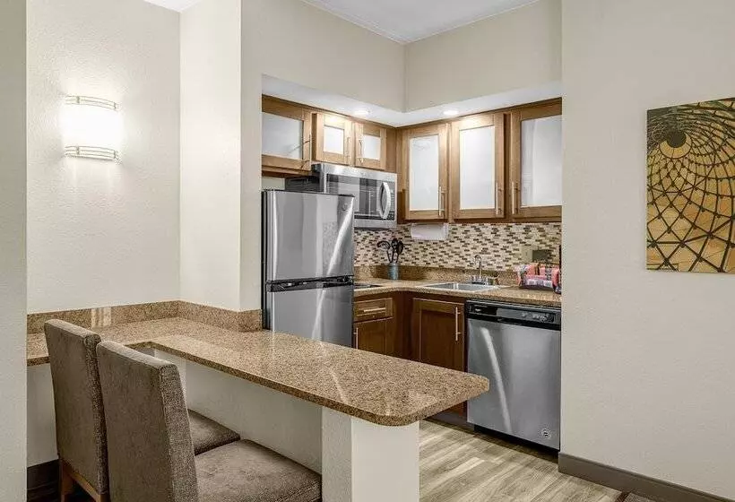 身障者適用スイートルーム, Staybridge Suites Chattanooga Hamilton Place, An Ihg