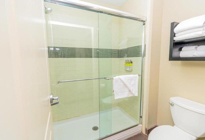 جناح سرير كينج, Staybridge Suites Houston   Iah Airport, An Ihg
