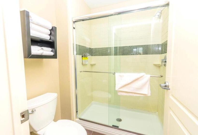 جناح سرير كينج, Staybridge Suites Houston   Iah Airport, An Ihg