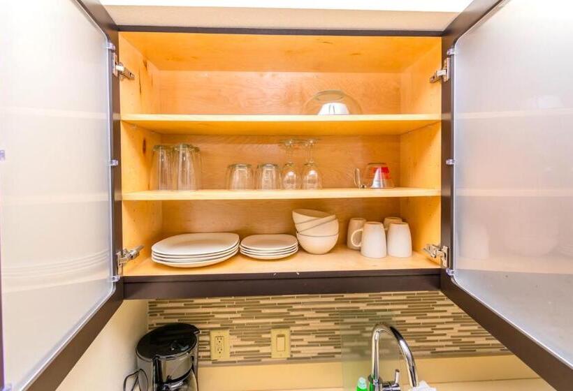 جناح, Staybridge Suites Houston   Iah Airport, An Ihg