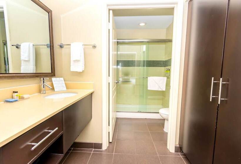 جناح غرفتين نوم, Staybridge Suites Houston   Iah Airport, An Ihg