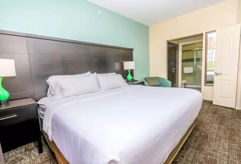 スタンダードスタジオ, Staybridge Suites Houston   Iah Airport, An Ihg