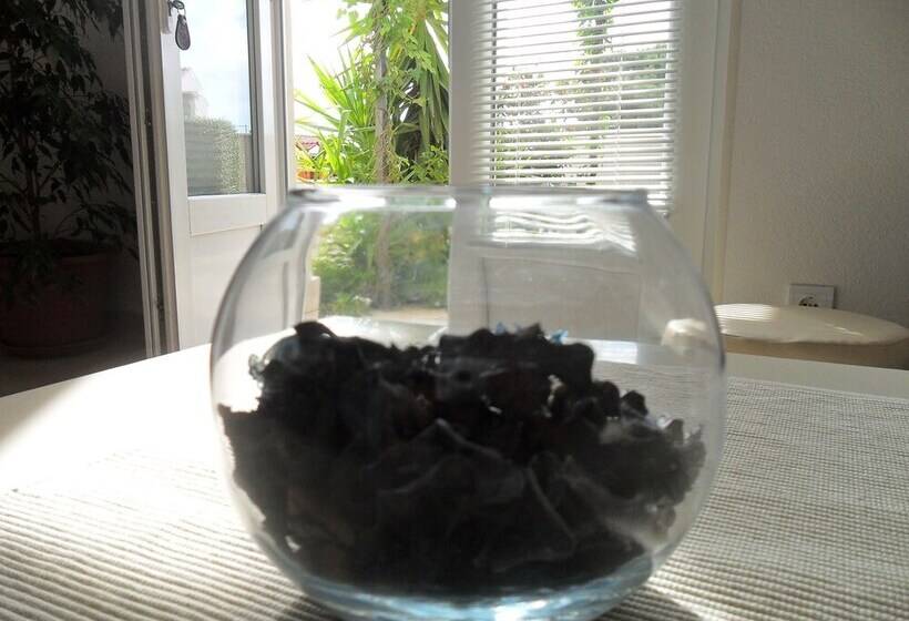 Apartamento Superior 1 Quarto Vista Mar, Apartments Pera