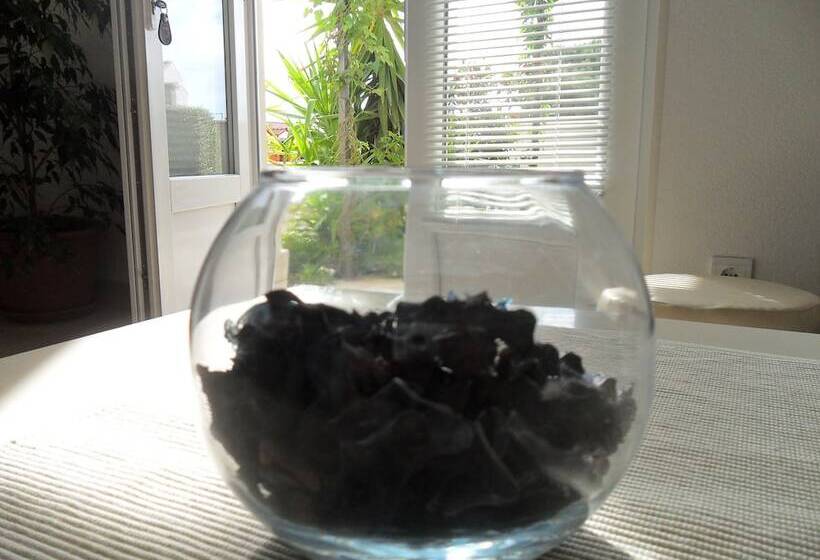 Apartamento Superior 1 Quarto Vista Mar, Apartments Pera