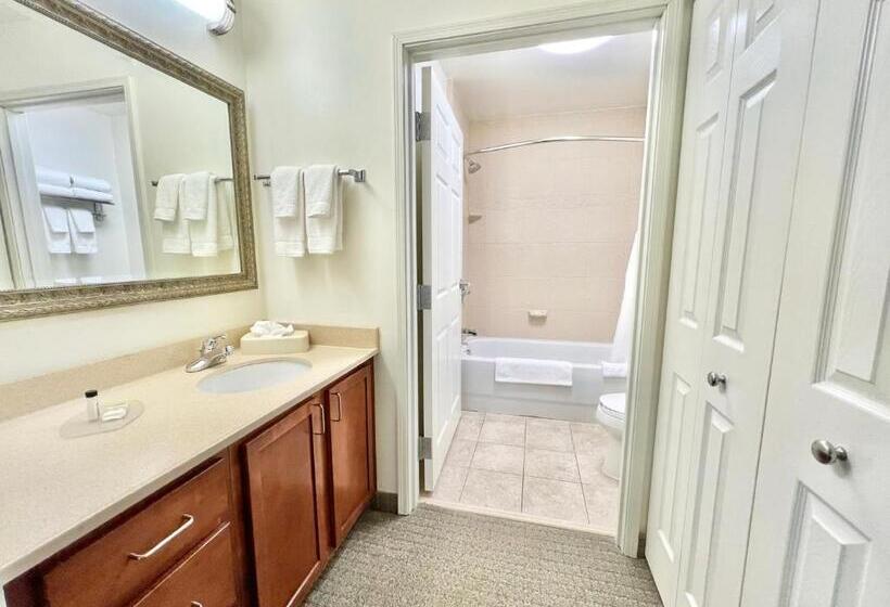 Студия Стандарт, Staybridge Suites Detroit Novi, An Ihg