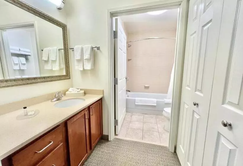 スタンダードスタジオ, Staybridge Suites Detroit Novi, An Ihg