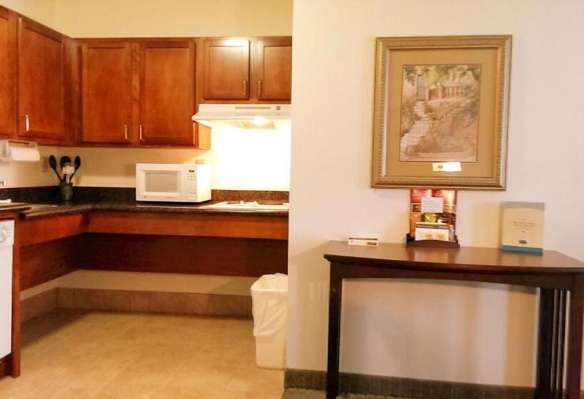 장애인을 위한 스탠다드 룸, Staybridge Suites Detroit Novi, An Ihg