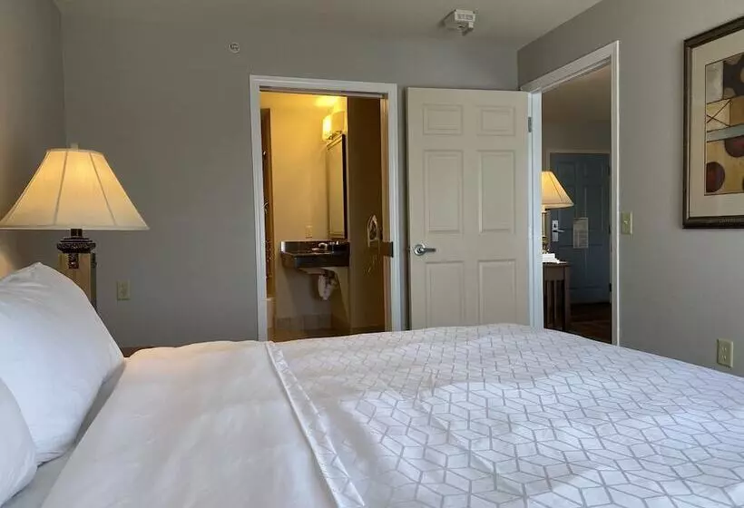 スイート, Staybridge Suites Milwaukee West Oconomowoc, An Ihg