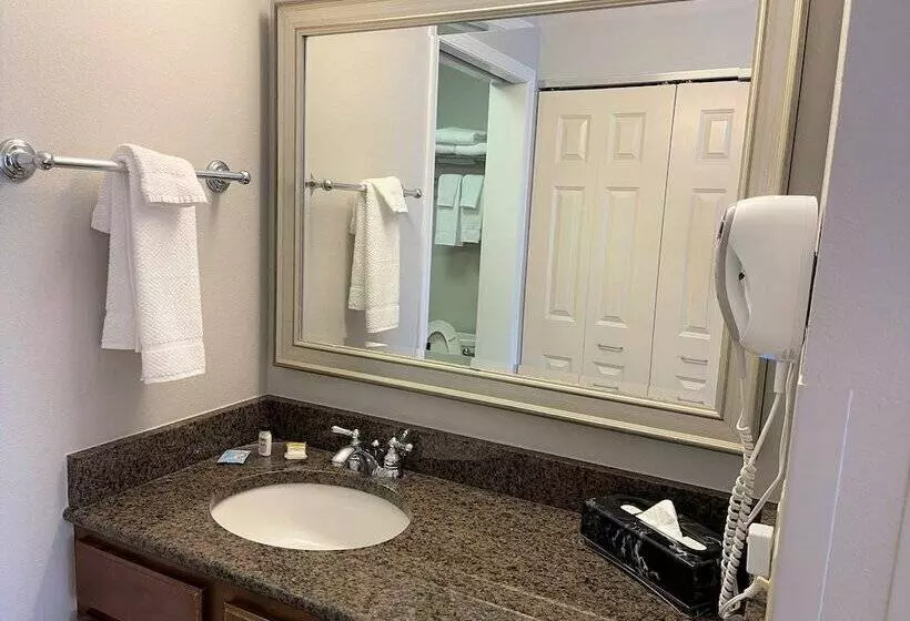 ２ベッドスイートルーム, Staybridge Suites Milwaukee West Oconomowoc, An Ihg