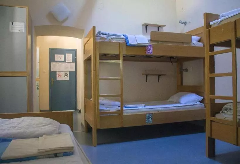 ルームシェアのワンベッド, Hi Hostel Rijeka