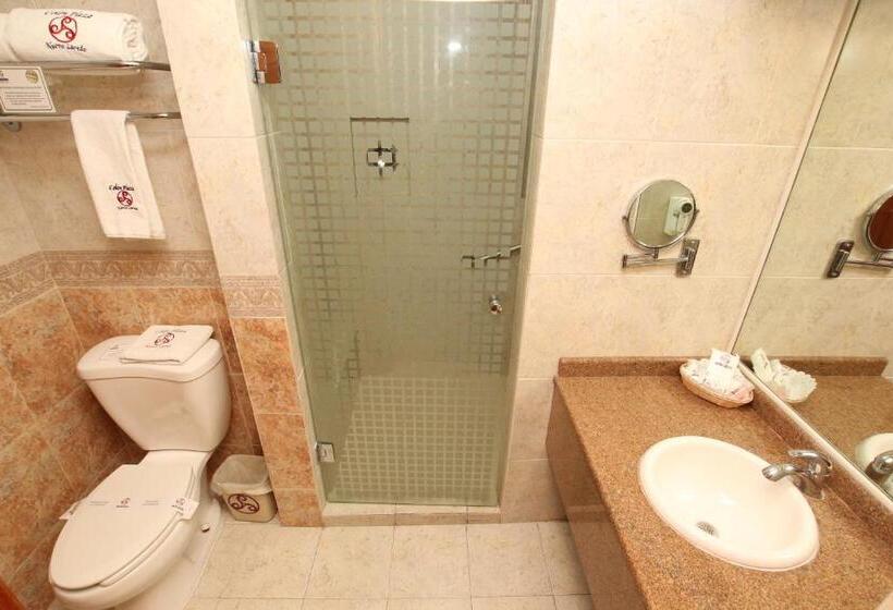 带大床的高级房间, Colon Plaza Business Class