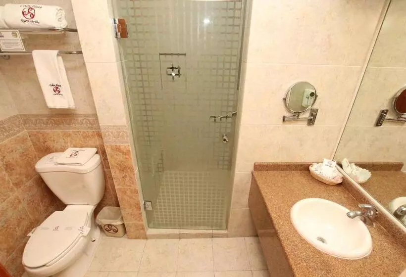 اتاق سوپریور با تخت بزرگ, Colon Plaza Business Class