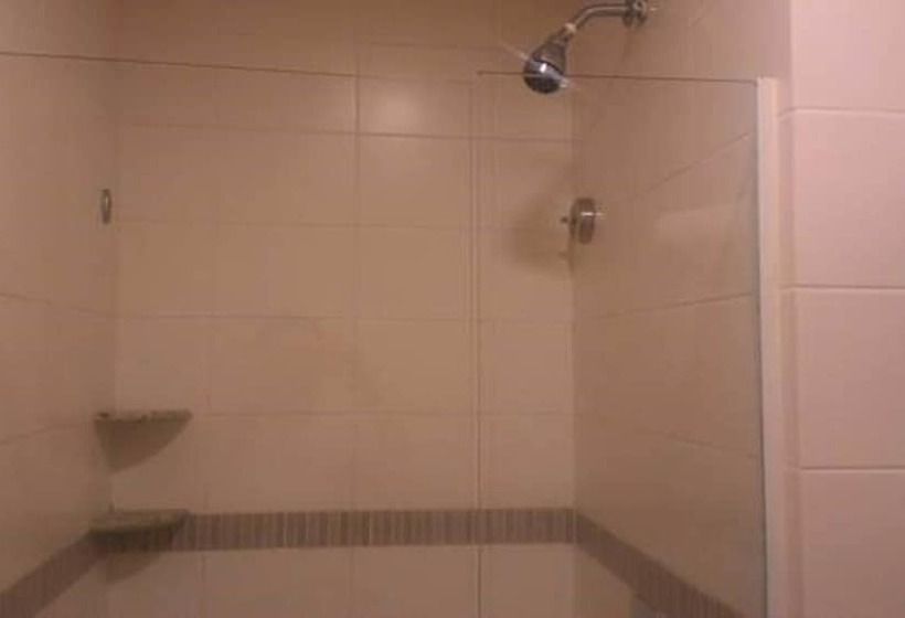 高级大房间, Comfort Hotel Sertãozinho