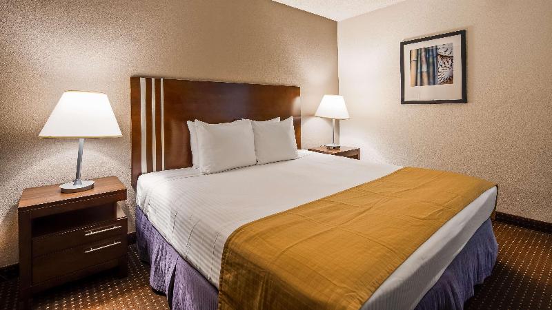 高级大房间, Comfort Hotel Sertãozinho