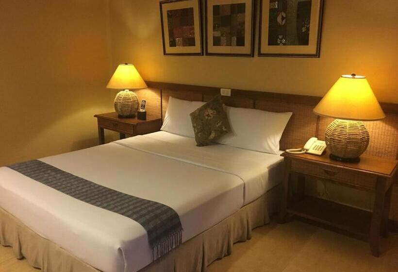 سوییت جونیور, Java