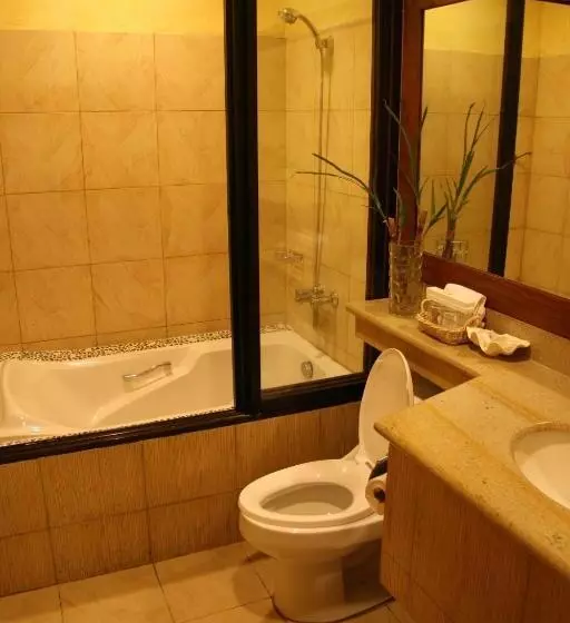 Executive-sviitti, Java