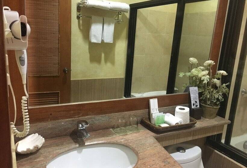 سوییت اجرایی, Java