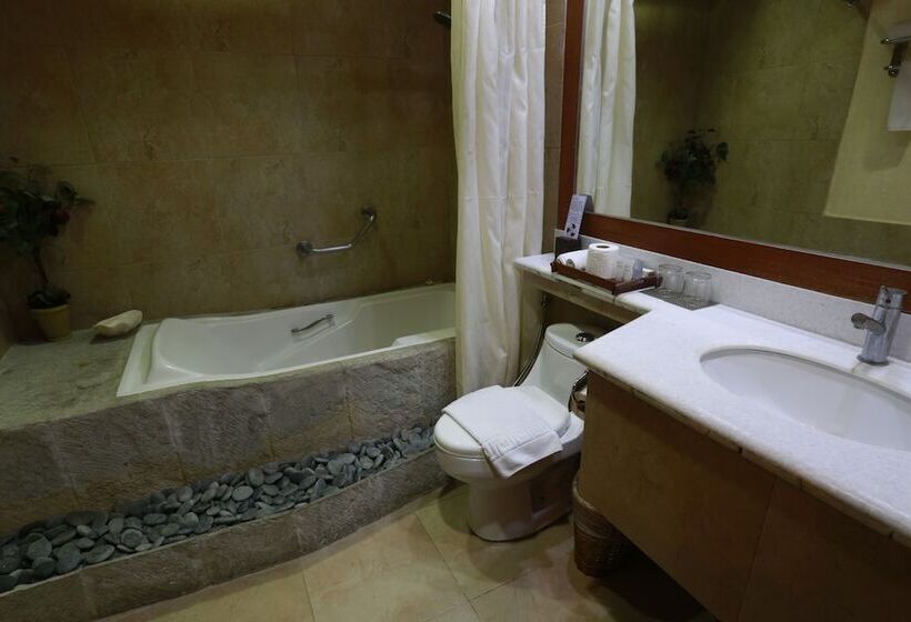 سوئیت پرزیدنت, Java