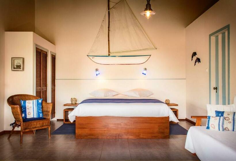 带大床的标准间, O Zimbreiro