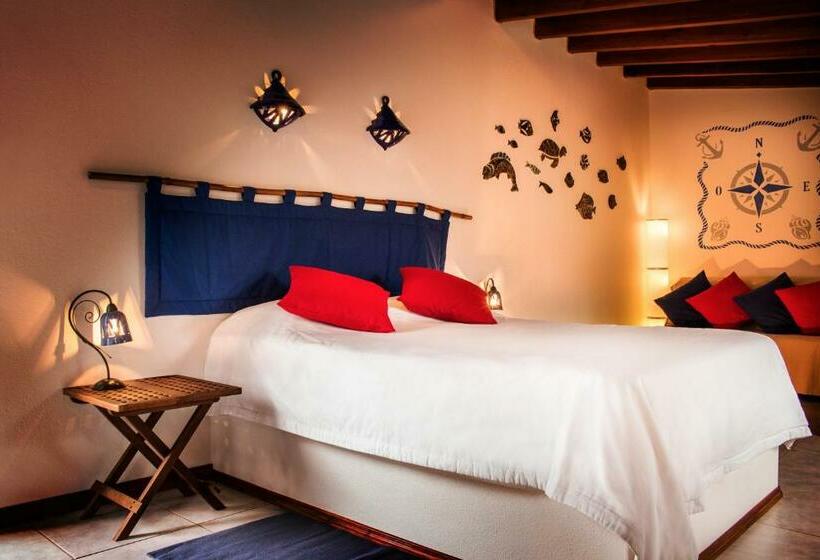 带大床的标准间, O Zimbreiro