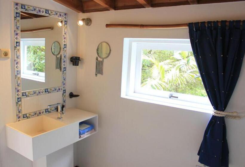 带大床的标准间, O Zimbreiro