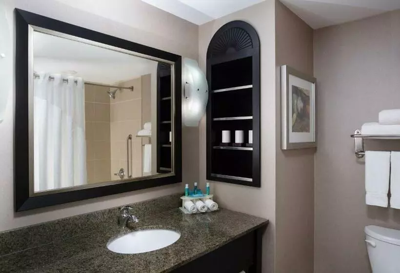 スタンダードルーム, Holiday Inn Express & Suites Ottawa West Nepean, An Ihg