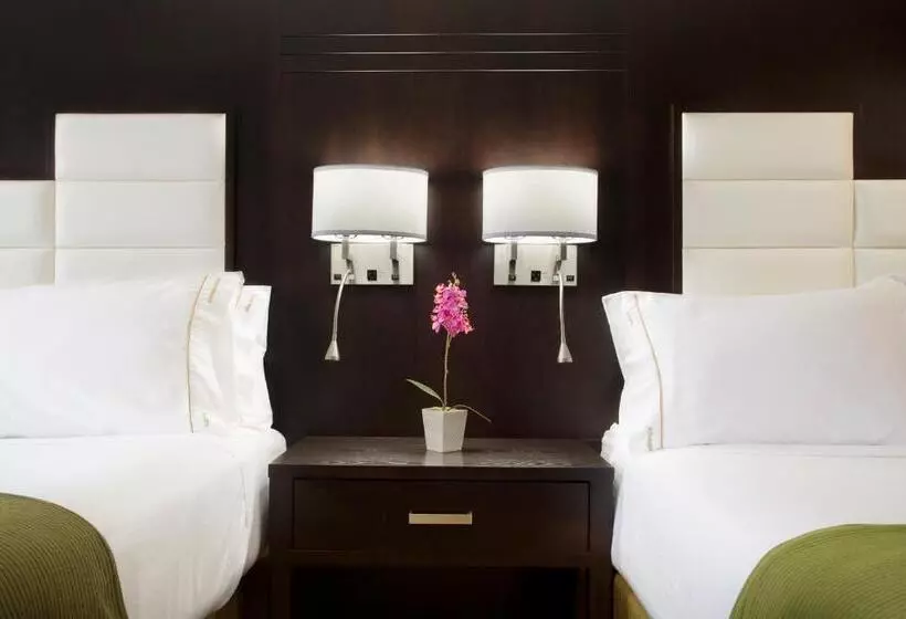 スイート, Holiday Inn Express & Suites Ottawa West Nepean, An Ihg
