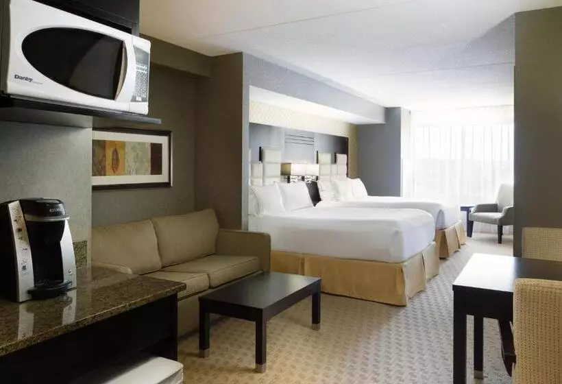 スイート, Holiday Inn Express & Suites Ottawa West Nepean, An Ihg