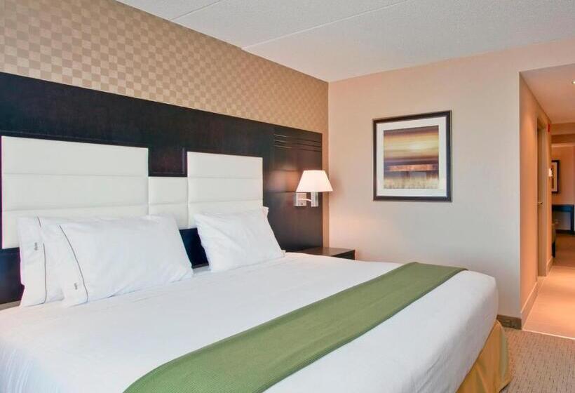 سوئیت اجرایی با تخت کینگ, Holiday Inn Express & Suites Ottawa West Nepean, An Ihg