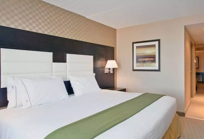 身障者適用スイートルーム, Holiday Inn Express & Suites Ottawa West Nepean, An Ihg