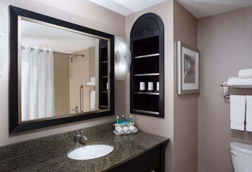디럭스 룸, Holiday Inn Express & Suites Ottawa West   Nepean, An Ihg
