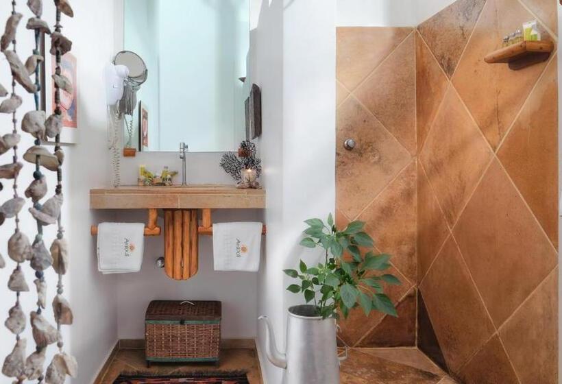 高级海景房, Araxa Pousada