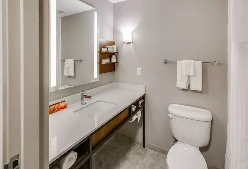 スタンダードルーム, Hilton Garden Inn Ames