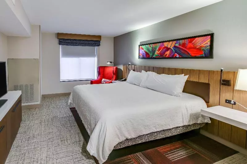 キングサイズベッドのスタンダードルーム, Hilton Garden Inn Ames