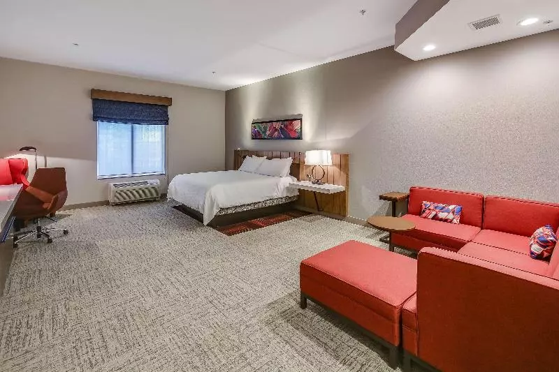 キングサイズベッドのスタンダードルーム, Hilton Garden Inn Ames