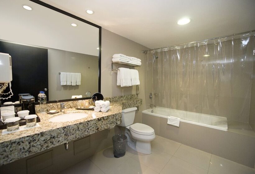 استودیوی استاندارد با تخت دوبل, Radisson Hotel Decapolis Miraflores