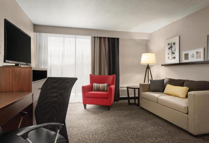 带大床的套房, Country Inn & Suites By Radisson, Erlanger Cincinnati South