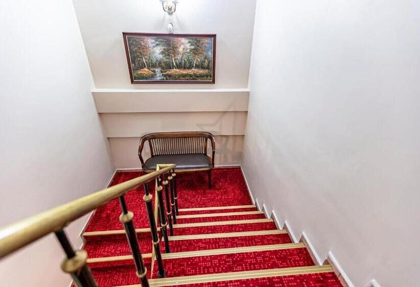 Pokój Standard Trzyosobowy, Elasophia