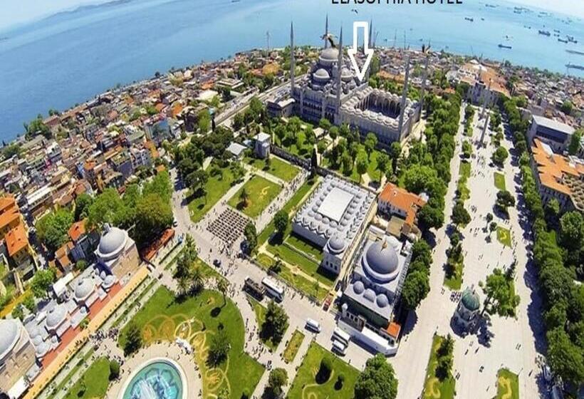 Pokój Standard Jednoosobowy, Elasophia