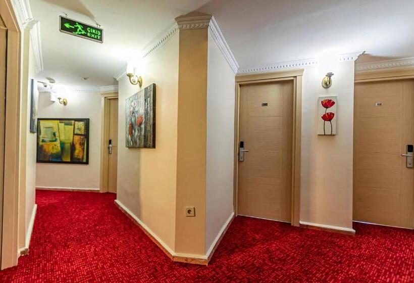 Pokój Standard Jednoosobowy, Elasophia