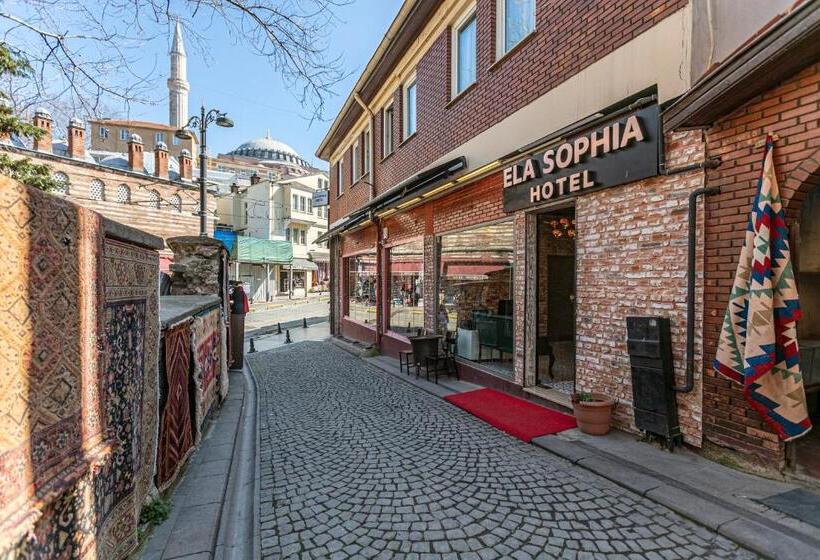 Pokój Rodzinny, Elasophia