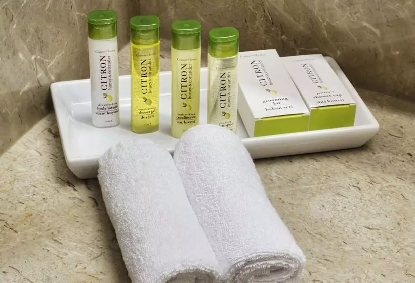 اتاق استاندارد, Doubletree By Hilton Istanbul Avcilar