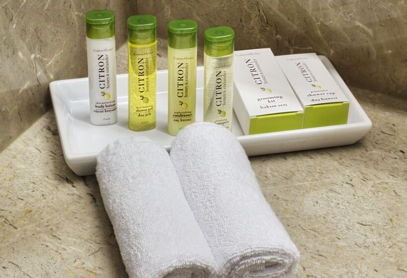 سوییت دوبلکس, Doubletree By Hilton Istanbul Avcilar