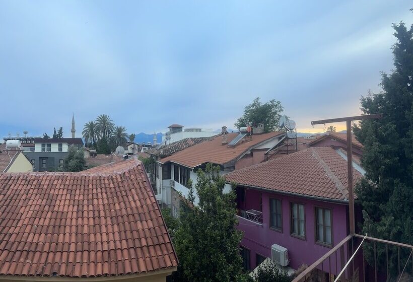 اتاق خانوادگی, Erkal Pension