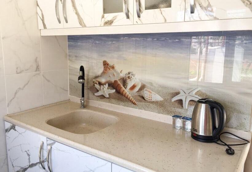 آپارتمان 1 خوابه, Erkal Pension