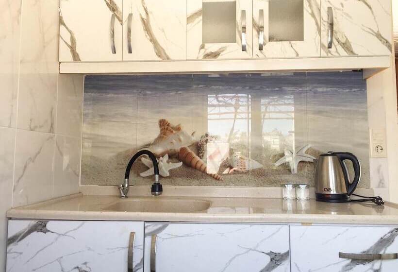 آپارتمان 1 خوابه, Erkal Pension